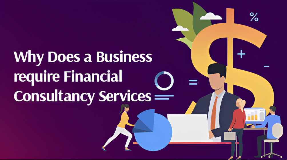 Why Does a Business require Financial Consultancy Services