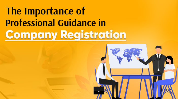 The Importance of Professional Guidance in Company Registration